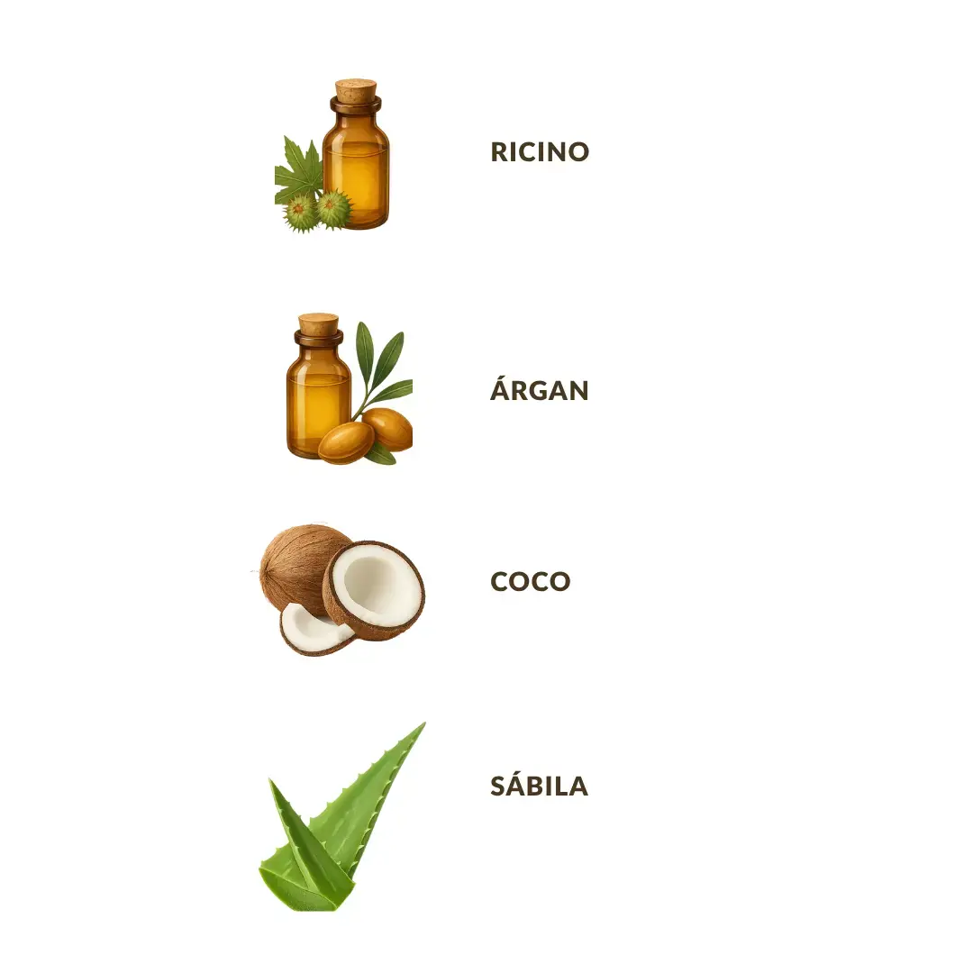 Ilustración de los ingredientes del acondicionador VeDu Hidra: ricino, argán, coco y sábila