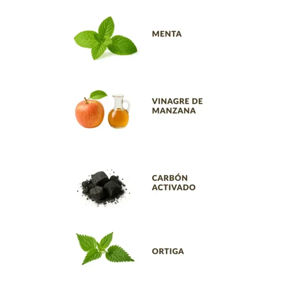 Ilustración de los ingredientes del champú VeDu Detox: menta, vinagre de manzana, carbón activado y ortiga.